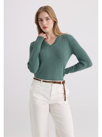 Felix Hardy Pullover in Grün