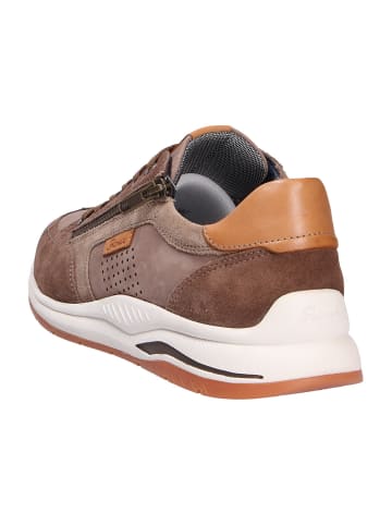 Sioux Sneaker in braun