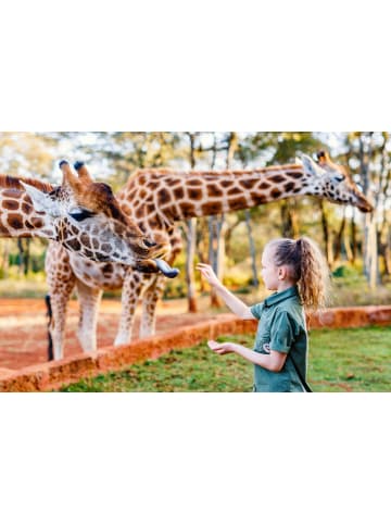 tripz Hotelgutschein: Markgraf Hotel Leipzig