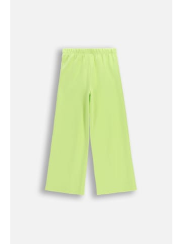 Coccodrillo Jogginghose in limonengrün