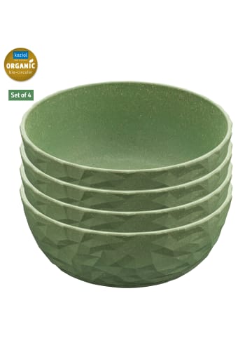 koziol CLUB BOWL - Schale 700ml in nature leaf green