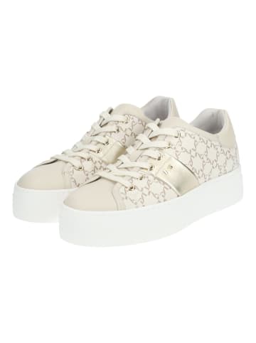 Nero Giardini Sneaker in Beige/Gold