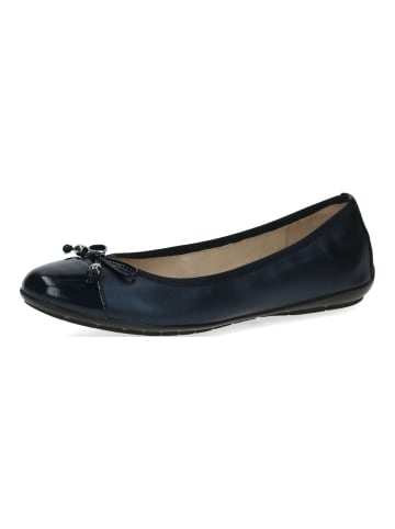 Caprice Ballerinas in Navy