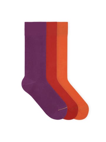 von Jungfeld Classic Socken-Set Signature Innenbund in Origami