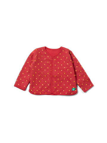 Little Green Radicals Bio-Steppjacke in Rot