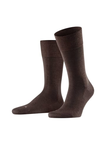 Falke Socken 1er Pack in Braun