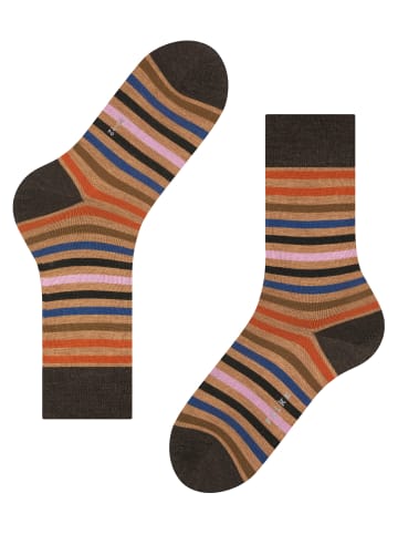 Falke Socken Tinted Stripe in Canvas