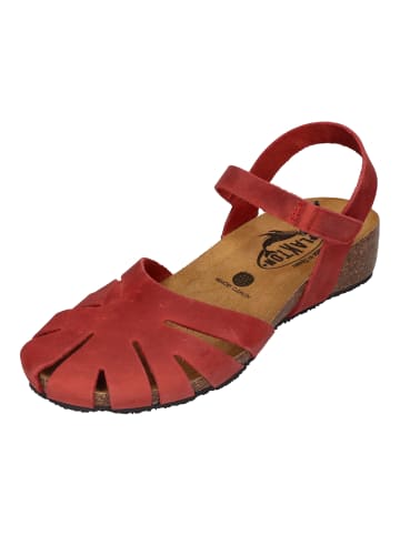 Plakton Sandalen 775929 in rot