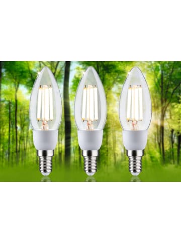 paulmann LED Eco-Line 3er Pack Kerze E14 525lm 2,5W 3000K klar 230V A