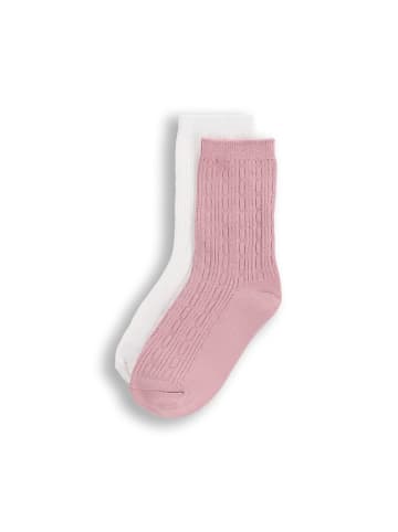 Coccodrillo Socken in bunt