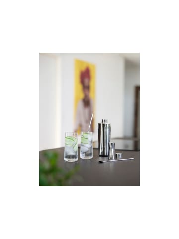 Zone Denmark Bar-Set Rocks in Polished Steel