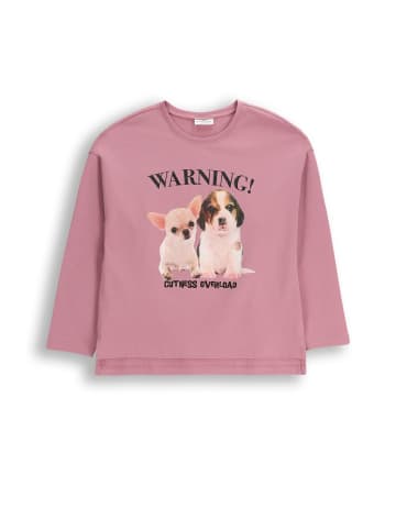 Coccodrillo Langarmshirt in gedämpftes Rosa