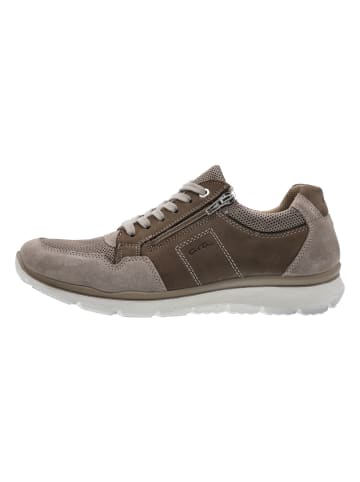 ara Schnürhalbschuh in beige