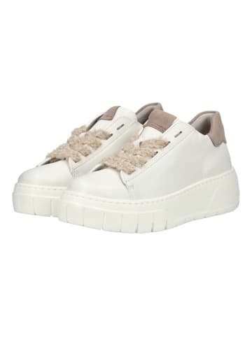 Gabor Sneaker in Latte