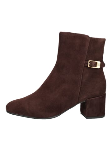 Högl Stiefelette in Braun