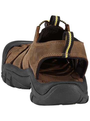 Keen M NEWPORT in Braun
