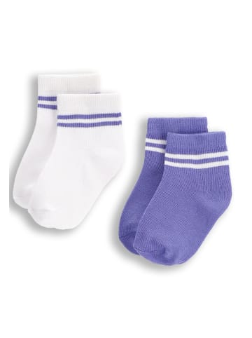 Coccodrillo Socken in bunt
