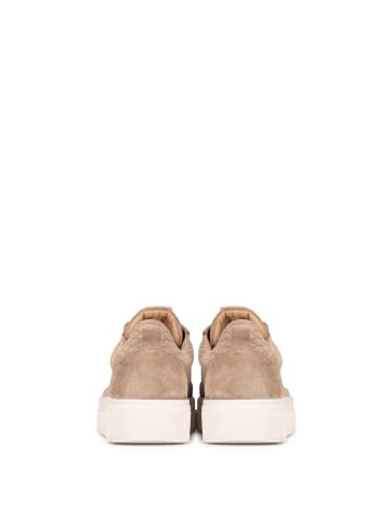 POELMAN PS Poelman IVAR Herren Sneaker