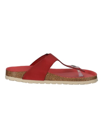 Cosmos Comfort Pantoletten in Rot