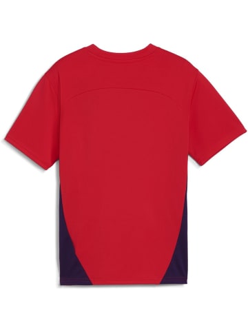 Puma Sportshirt "RBS Training Jersey Jr" in Rot