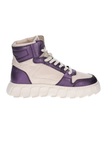 Apple of Eden Schnürschuh in lila