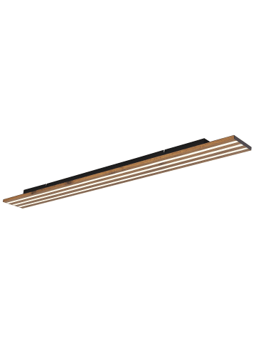 Globo lighting Deckenleuchte "HAYDEN" in black