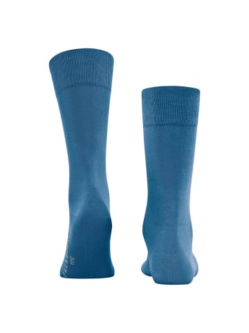 Falke Socken 1er Pack in Hellblau