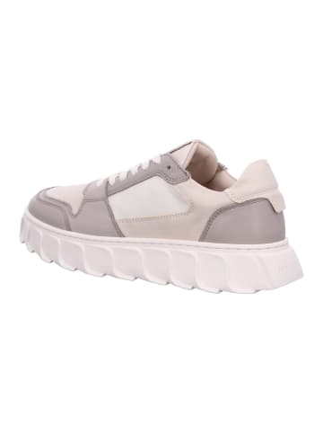 Apple of Eden Sneaker Low in beige