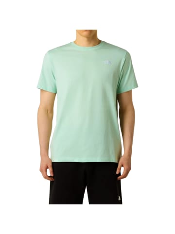 The North Face Evolution Simple Dome Regular T-Shirt in Mint