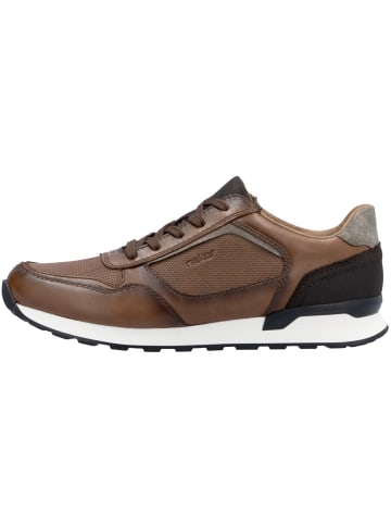 rieker Sneaker low U0311 in braun