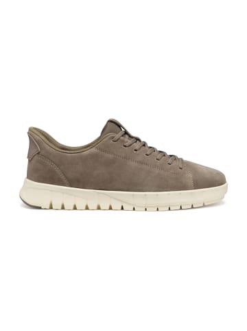 Geox Sportliche Schnürschuhe in Beige