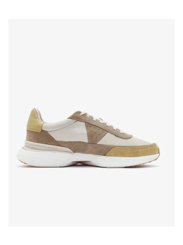 Clarks Schuhe Craft in Beige/Marrón/Oliva