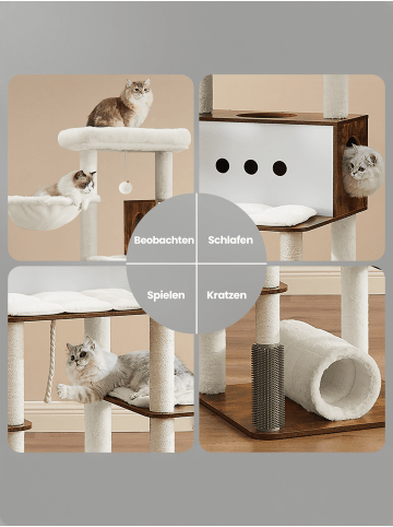 Feandrea Katzenbaum Caen in Braun - (B)60 x (H)192 x (T)60 cm
