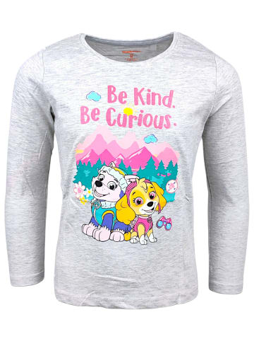 Paw Patrol Langarmshirt Paw Patrol Skye & Everest in Hellgrau