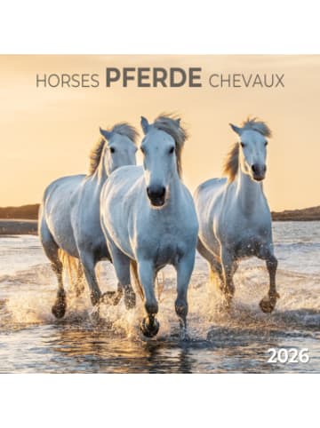 TUSHITA Kalender - Pferde/Horses 2026