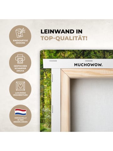 MuchoWow Leinwand bilder Dschungel Wasserfall (BxH)