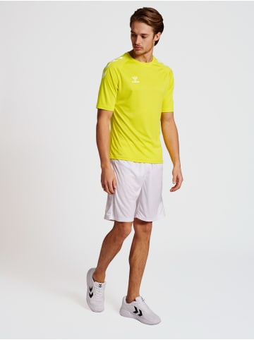 Hummel T-Shirt Hmlcore Erwachsene in BLAZING YELLOW
