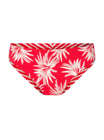Linga Dore Slip Bikini in Leaf stripe