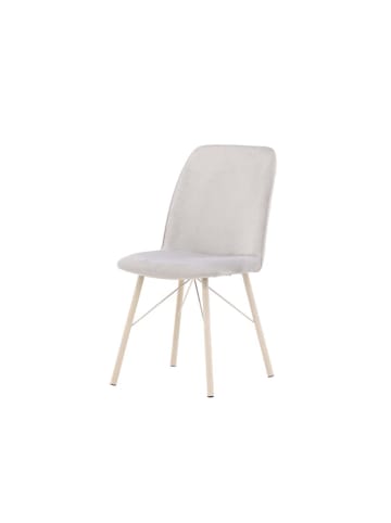 ebuy24 Esszimmerstuhl Everyday grau 2er Set
