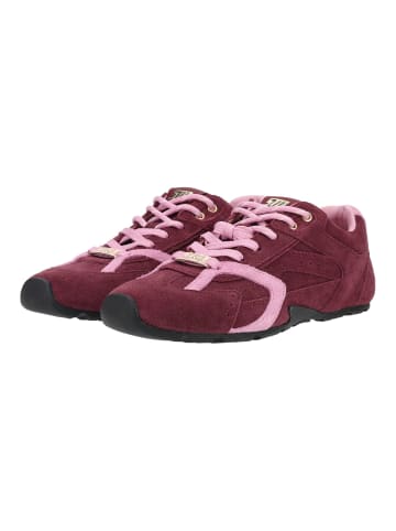 Steve Madden Sneaker ASIEL Dunkelrot