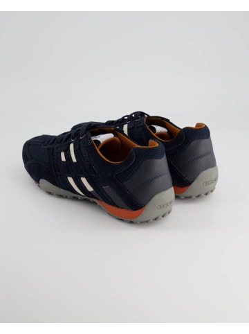 Geox Sneaker low in Blau