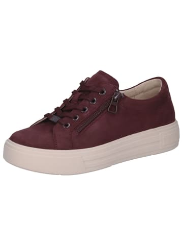 Caprice Sneaker in BORDEAUX SUEDE