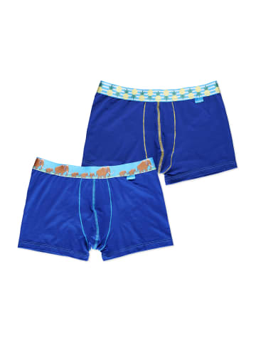 Unabux Boxer Briefs Motiv Mix in RUPERT
