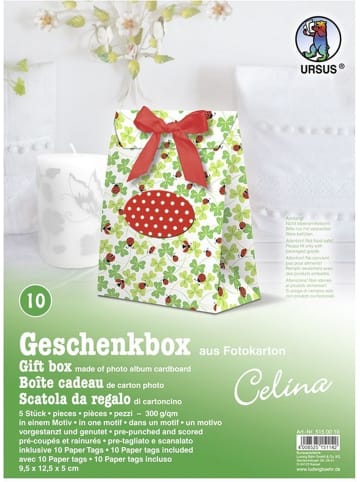 Buntpapierfabrik Ludwig Bähr Geschenkbox Celina 9,5x12,5x5cm Packung mit 5 Stück Motiv: 10