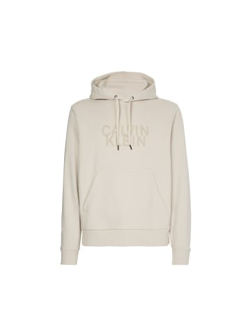 Calvin Klein Sweatshirt in stony beige
