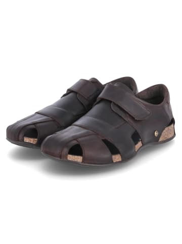 PANAMA JACK Sandalette in braun