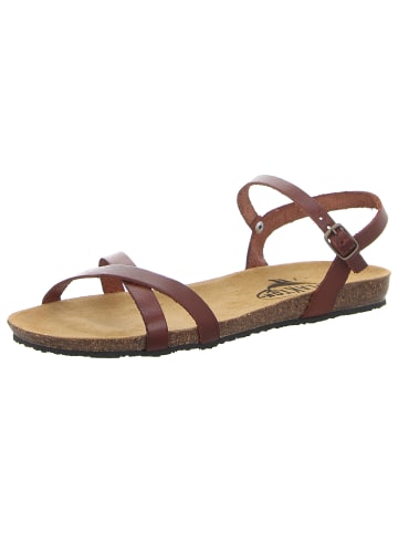 Plakton Sandale in braun