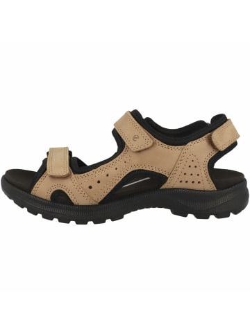 Ecco Komfort Sandalen für Herren in braun