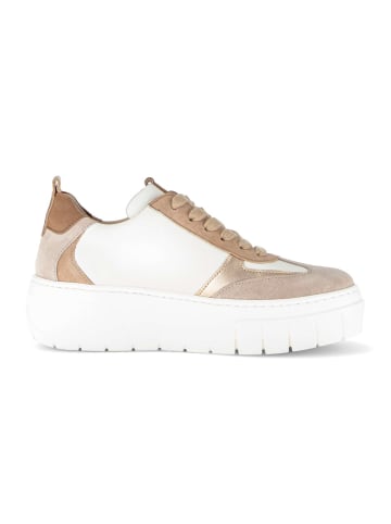 Gabor Sneaker low in beige