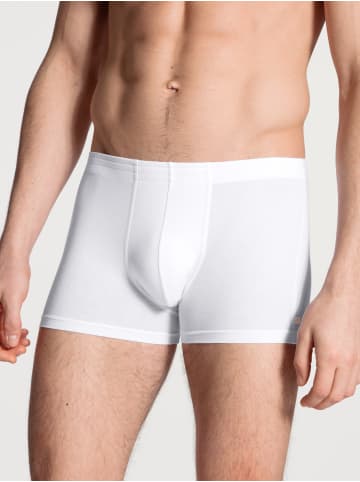 Calida New Boxer in weiss